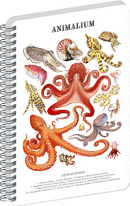 Spirálový blok Animalium - Hlavonožci, linkovaný, A5