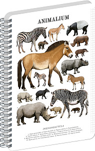 Spirálový blok Animalium - Lichokopytníci, čtverečkovaný, A5