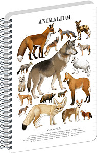 Spirálový blok Animalium - Psovité šelmy, linkovaný, A5