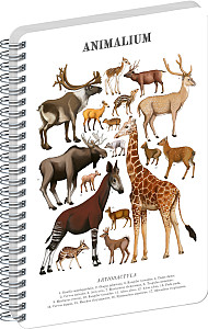 Spirálový blok Animalium - Sudokopytníci, čistý, A5