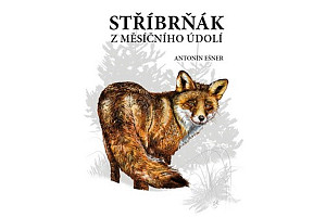 Stříbrňák z Měsíčního údolí