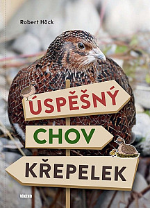 Úspěšný chov křepelek