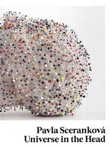 Vesmír v hlavě - Universe in the Head