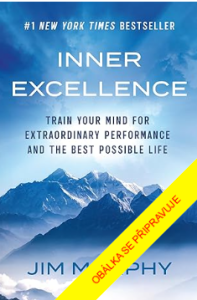 Vnitřní dokonalost