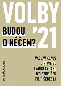 Volby 2021 - Budou o něčem?