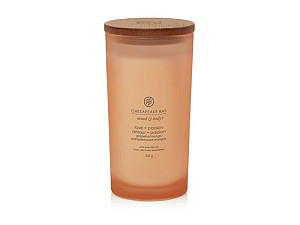 Vonná svíčka CHESAPEAKE BAY CANDLE Love & Passion 355g
