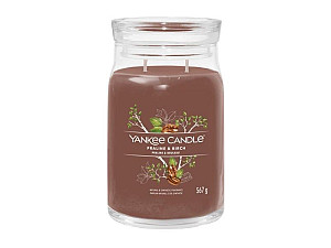 YANKEE CANDLE Praline & Birch svíčka 567g / 2 knoty (Signature velký)