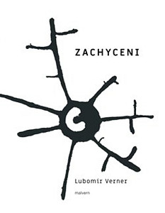 Zachycení