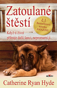Zatoulané štěstí - Když ti život přihraje další šanci, nepromarni ji