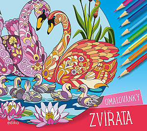 Zvířata – omalovánky