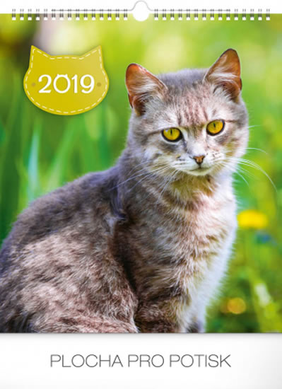 Kalendář nástěnný 2019 - Kočky, 30 x 34 cm