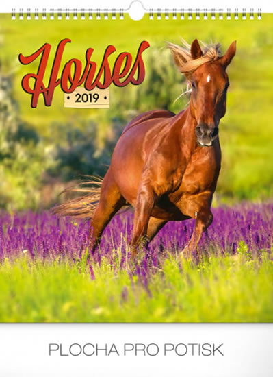 Kalendář nástěnný 2019 - Koně, 30 x 34 cm
