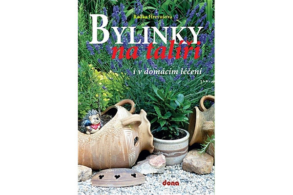 Bylinky na talíři i v domácím léčení