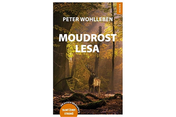 Moudrost lesa