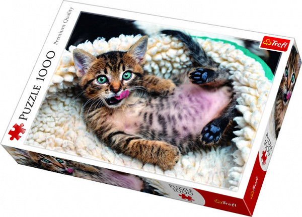 Veselé kotě: Puzzle 1000 dílků