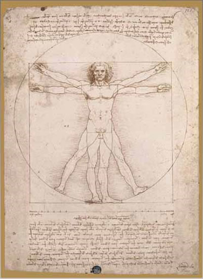 Leonardo da Vinci: Proporční schéma - Puzzle/1000 dílků