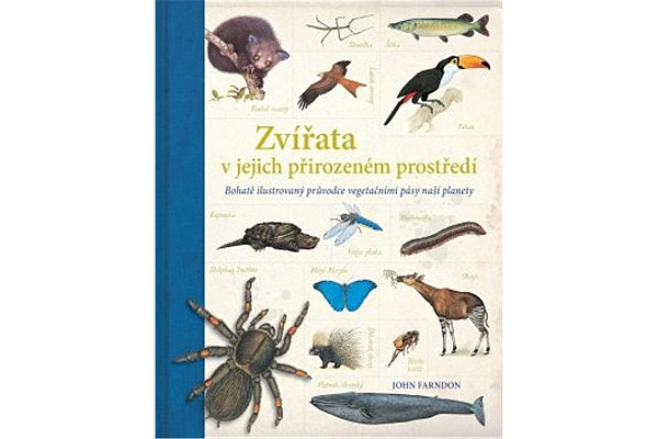 Zvířata v jejich přirozeném prostředí