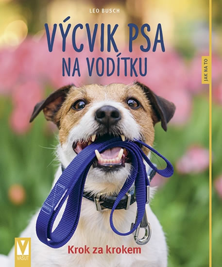 Výcvik psa na vodítku - Jak na to