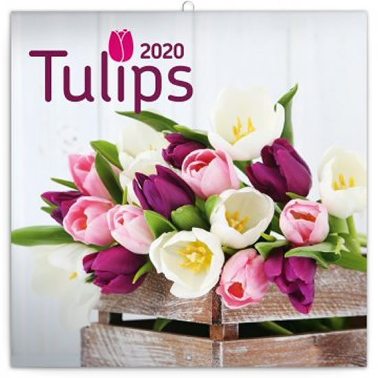 Kalendář poznámkový 2020 - Tulipány, 30 × 30 cm