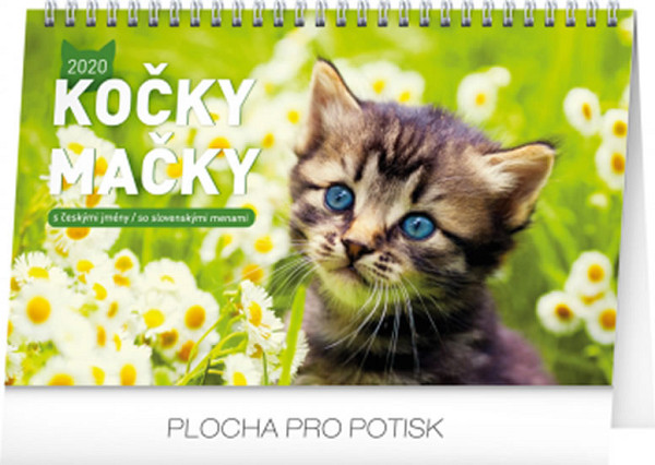 Kalendář stolní 2020 - Kočky – Mačky CZ/SK, 23,1 × 14,5 cm