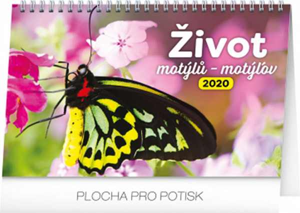 Kalendář stolní 2020 - Život motýlů – motýlov CZ/SK, 23,1 × 14,5 cm