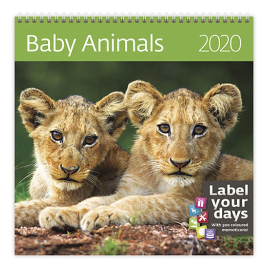 Kalendář nástěnný 2020 - Baby Animals