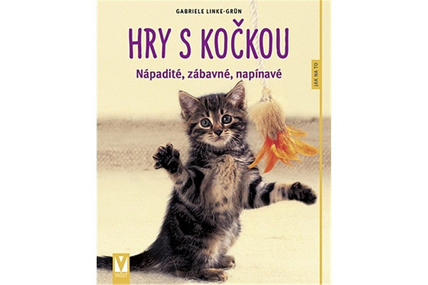 Hry s kočkou - Nápadité, zábavné, napínavé