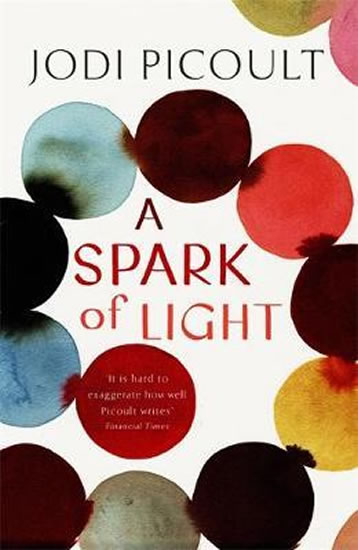 A Spark of Light : from the author everyone should be reading
