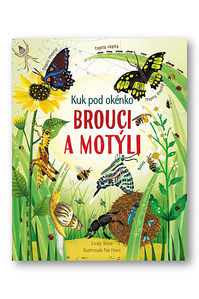 Brouci a motýli - kuk pod okénko