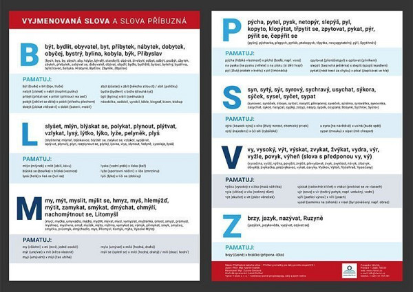 Přehledová tabulka učiva – vyjmenovaná slova a slova příbuzná