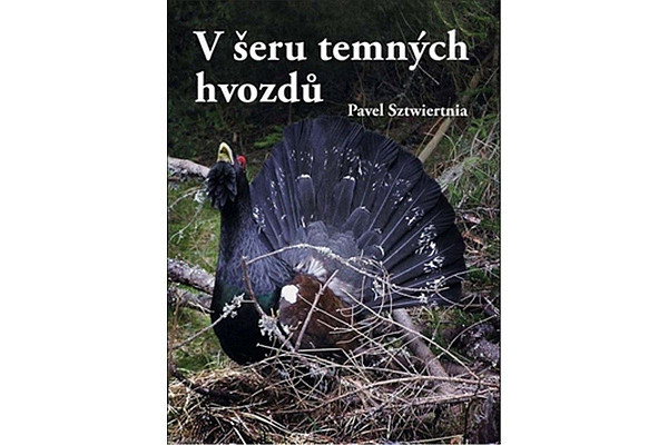 V šeru temných hvozdů