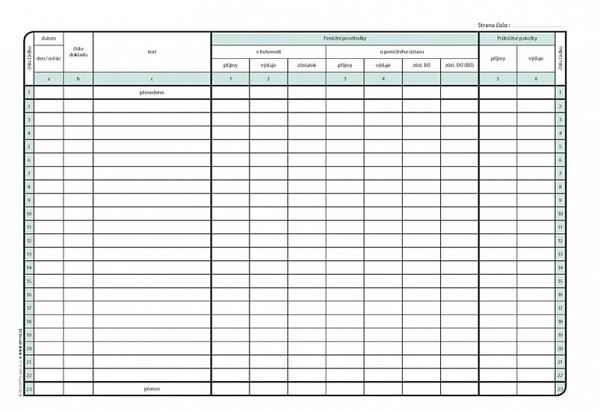 Daňová evidence podrobná pro plátce DPH, A4, 28 listů
