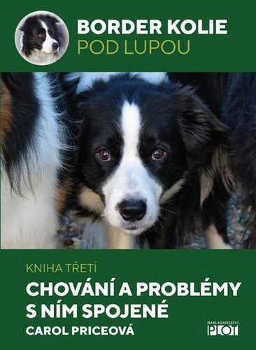 Border kolie pod lupou 3 - Chování a problémy s ním spojené