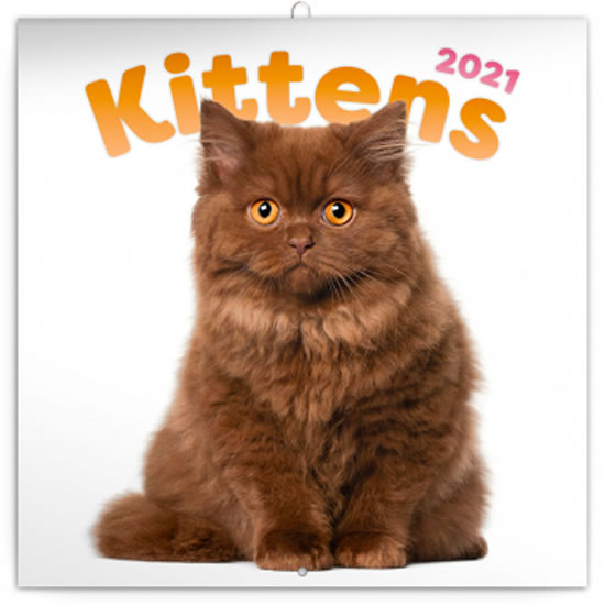 Kalendář 2021 poznámkový: Koťata, 30 × 30 cm
