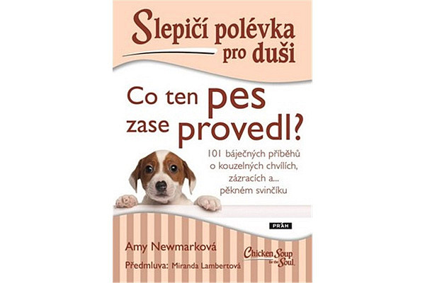 Slepičí polévka pro duši - Co ten pes zase provedl?