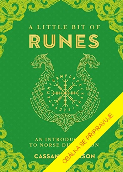 RUNY a jak jim rozumět - Úvod do severského věštění