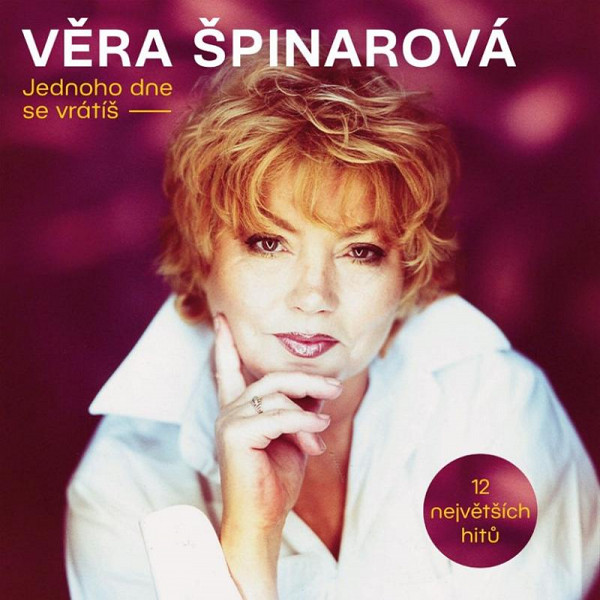 Jednoho dne se vrátíš: 12 největších... - LP