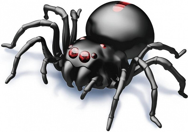 Pavouk na slanou vodu