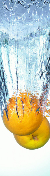 Fruits in Motion,záložka