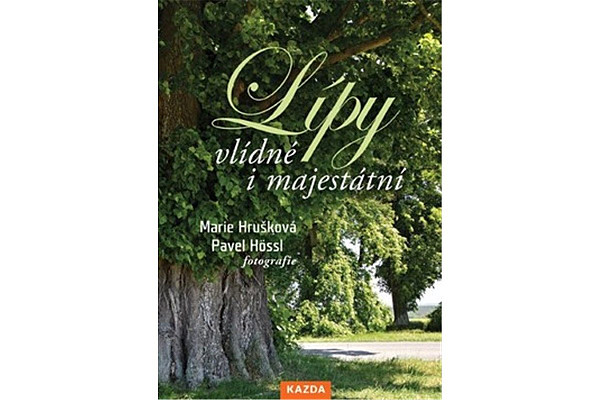 Lípy vlídné i majestátní