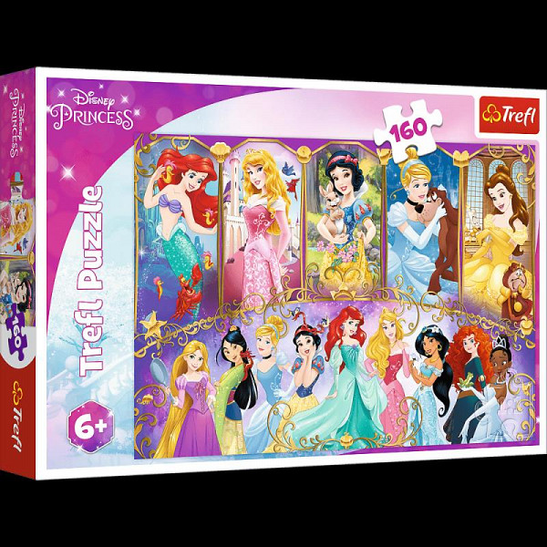Puzzle Disney Princess / Portréty princezen, 160 dílků