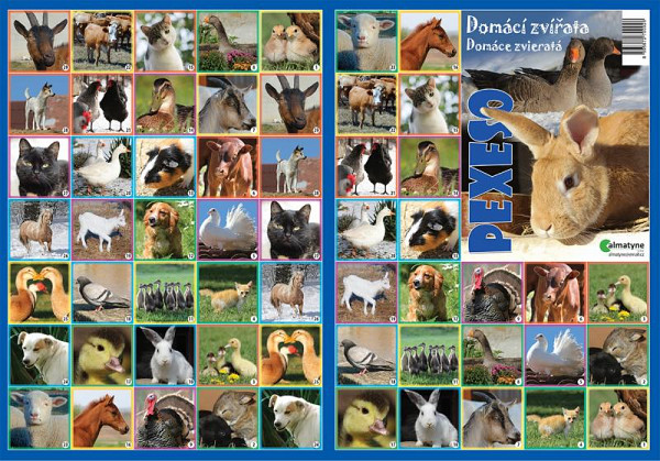 Pexeso - Domácí zvířata