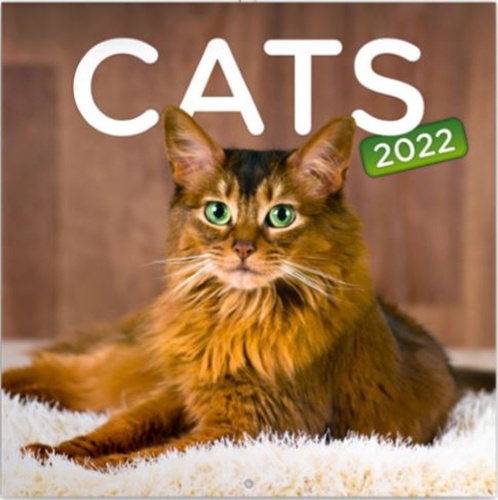 Kalendář 2022 poznámkový: Kočky, 30 × 30 cm