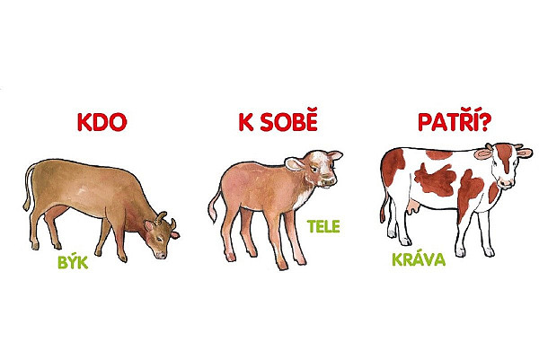 Kdo k sobě patří?