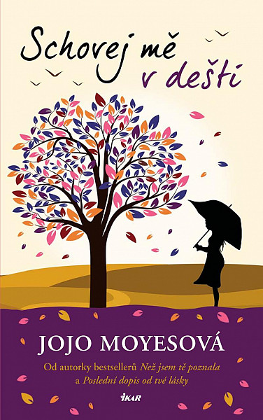 Schovej mě v dešti