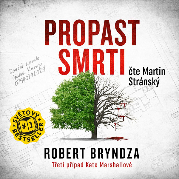 Propast smrti - CDmp3 (Čte Martin Stránský)
