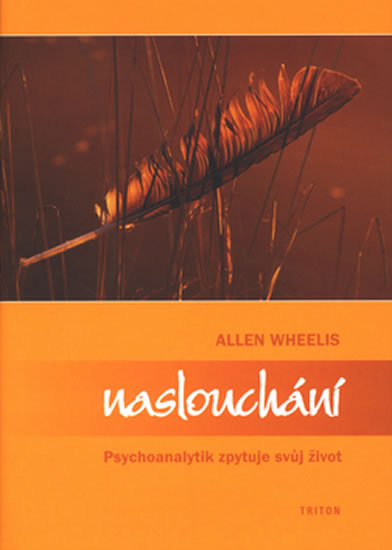 Naslouchání