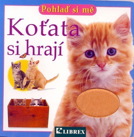 Koťata si hrají