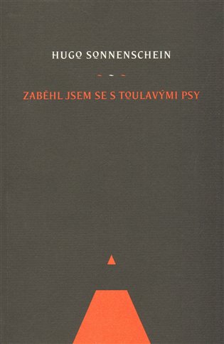 Zaběhl jsem se s toulavými psy