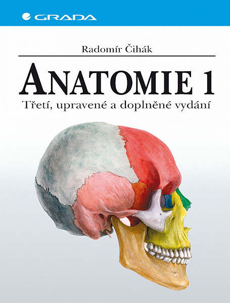 Anatomie 1.
